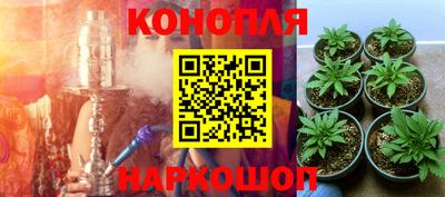 бошки Коммунар