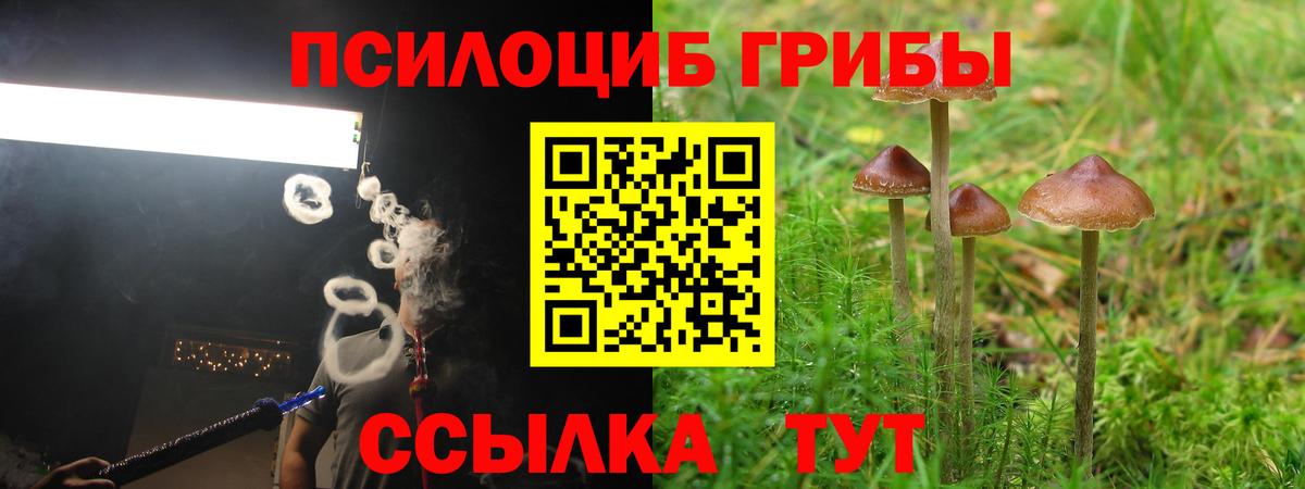 Котлас  Галлюциногенные грибы GOLDEN TEACHER  Вход с VPN  Псилоцибиновые грибы ЛСД 
